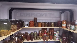 Приложение к отзыву